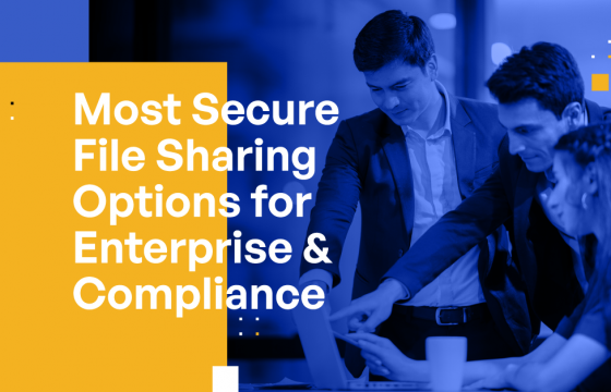 Most Secure File Sharing Options for Enterprise & Compliance