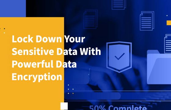 Lock Down Your Sensitive Data With Powerful Data Encryption