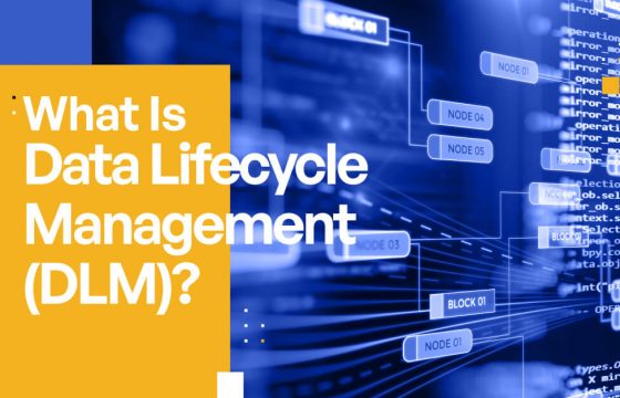 What Is Data Lifecycle Management (DLM) [Explained Simply]