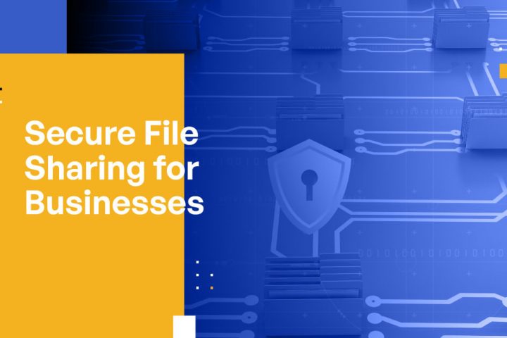 Secure File Sharing for Businesses: The Ultimate Guide