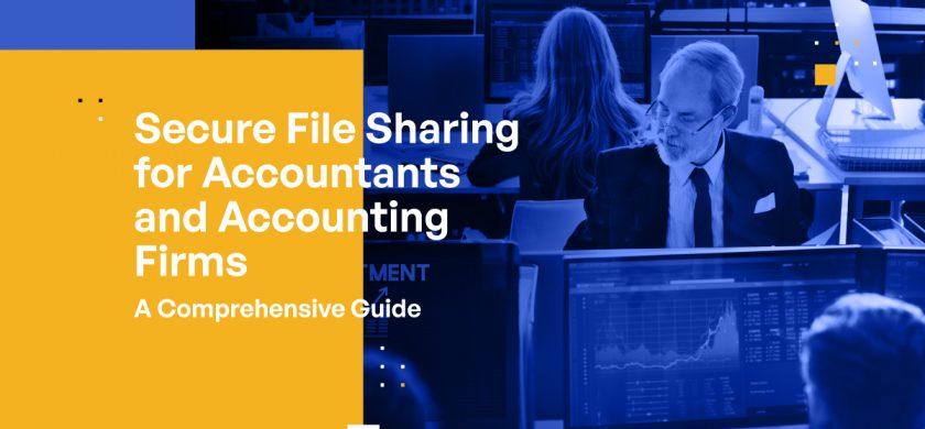 Secure File Sharing for Accountants and Accounting Firms: A Comprehensive Guide