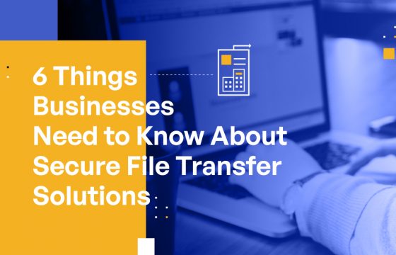 6 Things Businesses Need to Know About Secure File Transfer Solutions