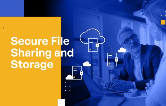 Secure File Sharing and Storage: A Comprehensive Guide