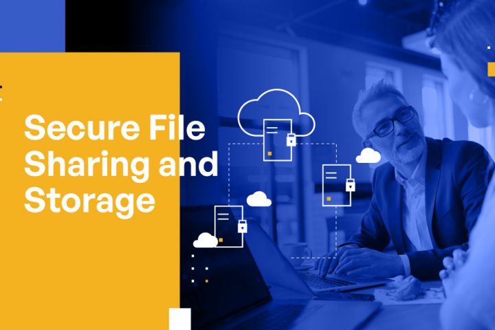 Secure File Sharing and Storage: A Comprehensive Guide