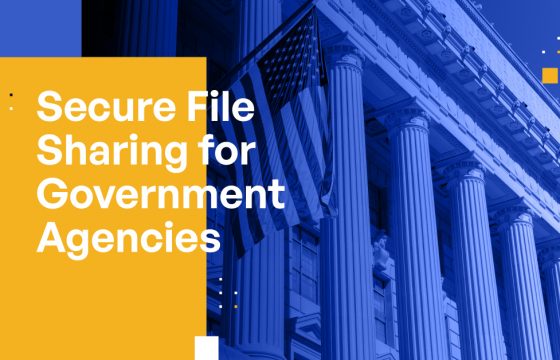 Secure File Sharing for Government Agencies: Ensuring the Confidentiality of Sensitive Information