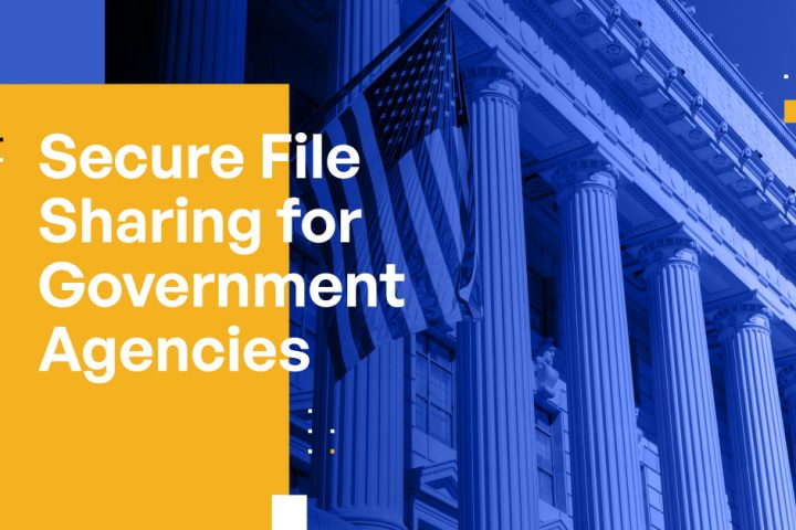 Secure File Sharing for Government Agencies: Ensuring the Confidentiality of Sensitive Information