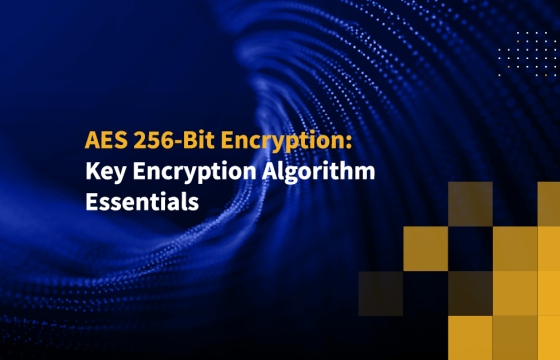 AES 256-Bit Encryption: Key Encryption Algorithm Essentials