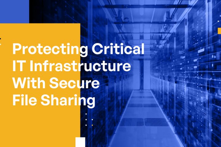Protecting Critical Infrastructure With Secure File Sharing: Information Technology