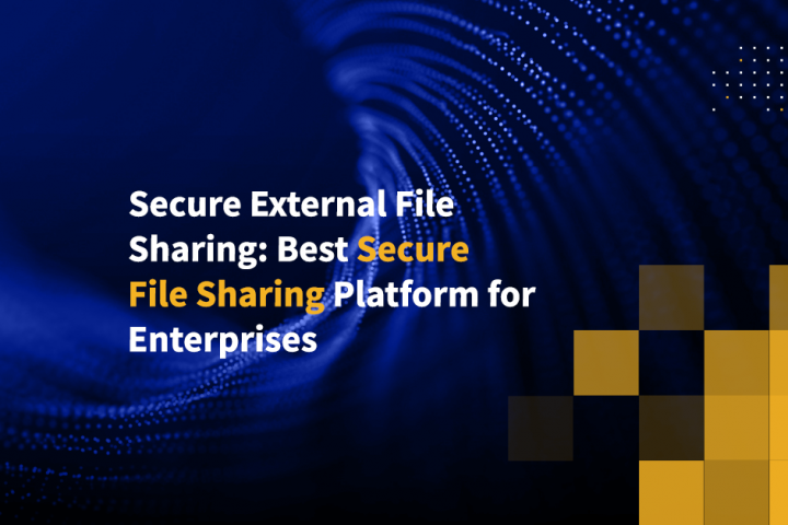 Secure External File Sharing: Best Secure File Sharing Platform for Enterprises