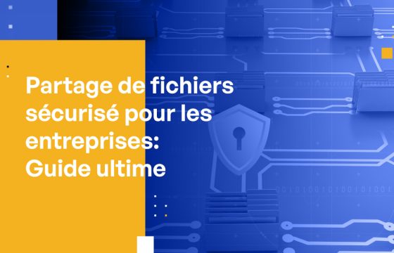 Partage de fichiers sécurisé pour les entreprises : Le guide ultime