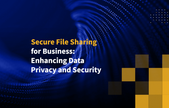 Secure File Sharing for Business: Enhancing Data Privacy and Security