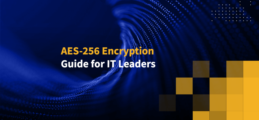 AES-256 Encryption Guide for IT Leaders