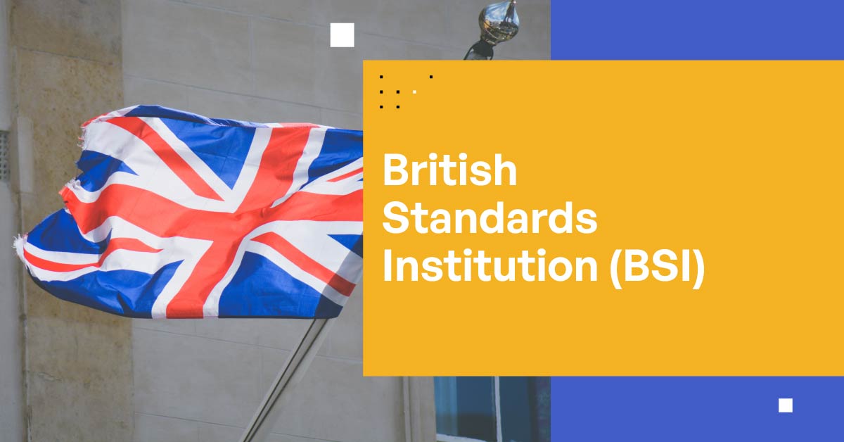 British Standards Institution Ensuring Britons Safety And Privacy 