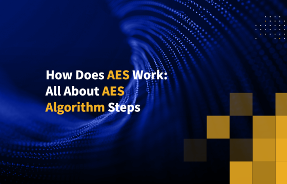 How Does AES Work: All About AES Algorithm Steps