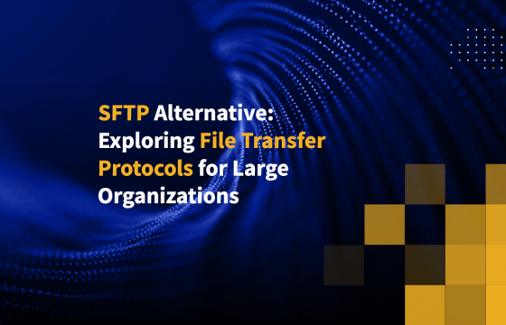 SFTP Alternative: Exploring File Transfer Protocols for Large Organizations