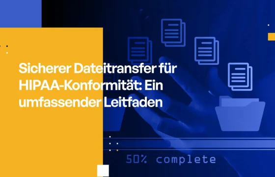 Sicherer Dateitransfer für HIPAA-Konformität: Ein umfassender Leitfaden