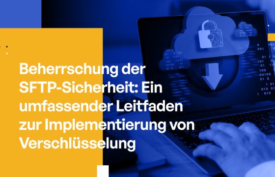 Beherrschung der SFTP-Sicherheit: Ein umfassender Leitfaden zur Implementierung von Verschlüsselung