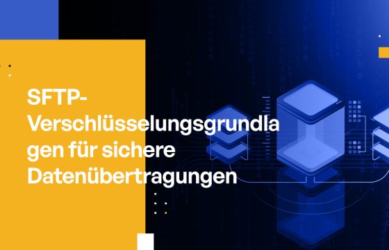 SFTP-Verschlüsselungsgrundlagen für sichere Datenübertragungen