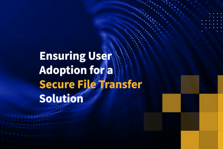 Ensuring User Adoption for a Secure File Transfer Solution