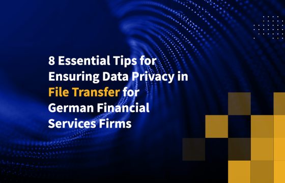 8 Essential Tips for Ensuring Data Privacy in File Transfer for German Financial Services Firms