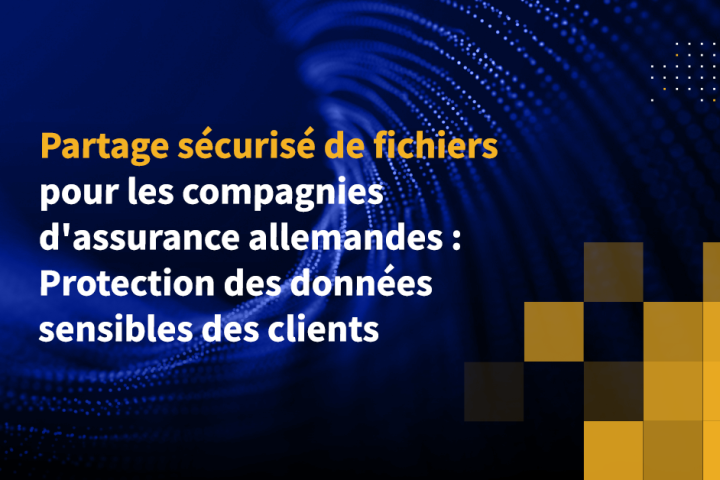 Partage sécurisé de fichiers pour les compagnies d'assurance allemandes : Protection des données sensibles des clients