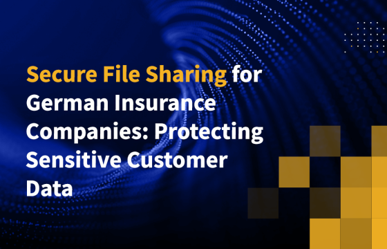 Secure File Sharing for German Insurance Companies: Protecting Sensitive Customer Data