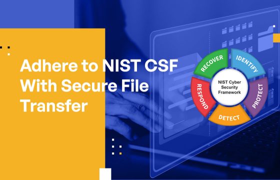 Adhere to NIST CSF With Secure File Transfer