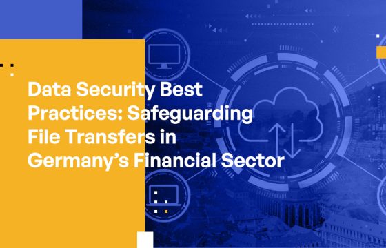 Data Security Best Practices: Safeguarding File Transfers in Germany's Financial Sector