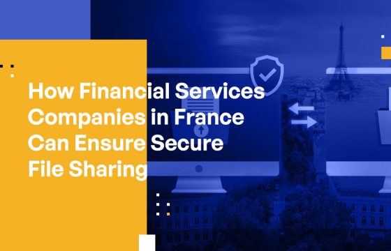 How Financial Services Companies in France Can Ensure Secure File Sharing