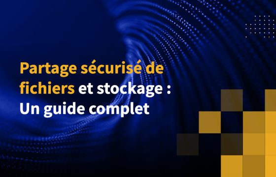 Partage sécurisé de fichiers et stockage : Un guide complet