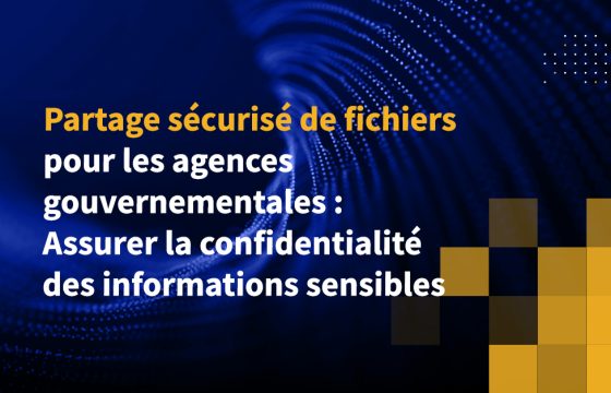 Partage sécurisé de fichiers pour les agences gouvernementales : Assurer la confidentialité des informations sensibles