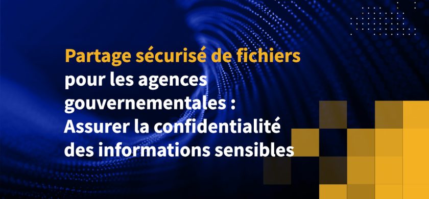 Partage sécurisé de fichiers pour les agences gouvernementales : Assurer la confidentialité des informations sensibles