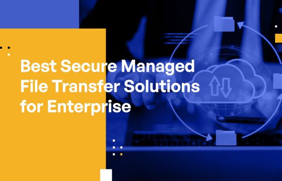 Which Secure MFT Solution is Best for Your Business