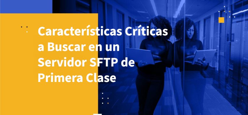 Características Críticas a Buscar en un Servidor SFTP de Primera Clase