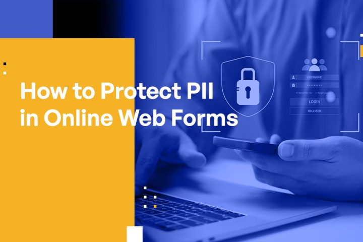 How to Protect PII in Online Web Forms