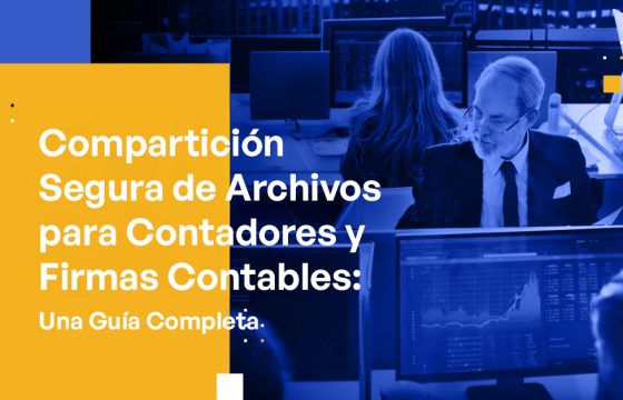 Compartición Segura de Archivos para Contadores y Firmas Contables: Una Guía Completa