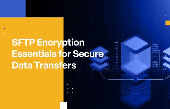 SFTP Encryption Essentials for Secure Data Transfers