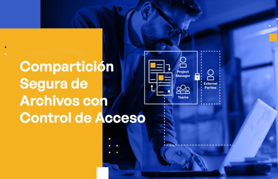 Blog Banner - Secure File Sharing With Access Control