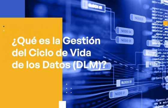 Blog Banner - What Is Data Lifecycle Management (DLM)