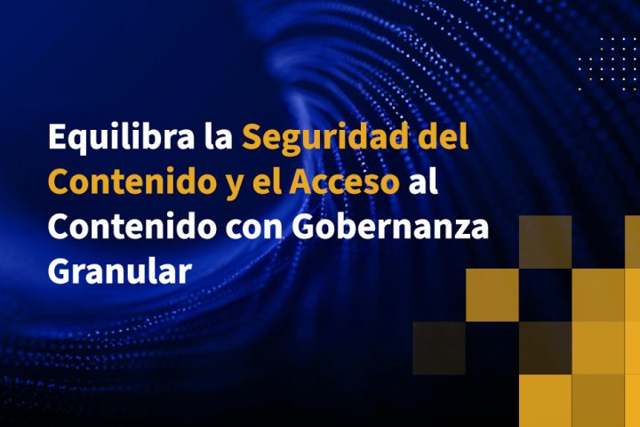 Equilibra la Seguridad del Contenido y el Acceso al Contenido con Gobernanza Granular