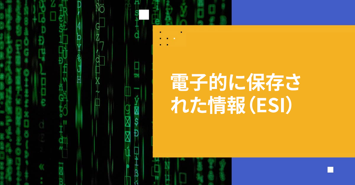 電子的に保存された情報（ESI）