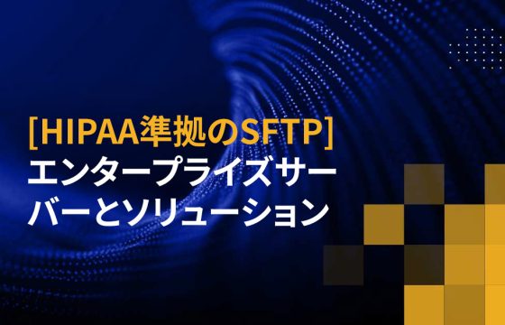 [HIPAA準拠のSFTP] エンタープライズサーバーとソリューション