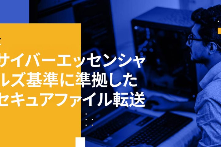 サイバーエッセンシャルズ基準に準拠したセキュアファイル転送